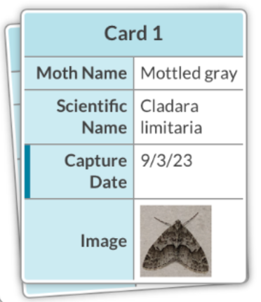 A stack of moth data cards