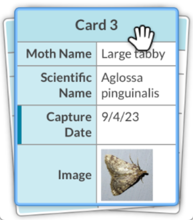 A stack of moth data cards